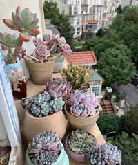 �������⣬��������