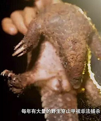 ĸǱôɽͨˣйĴɽ׶û