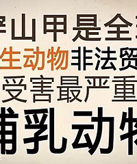 ĸǱôɽͨˣйĴɽ׶û