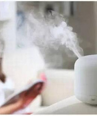 ƼʺӤõļʪﶬ쿪˵ůԸоϸ