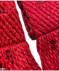 LVɫ˫ëΧٴԱȣʶٻ