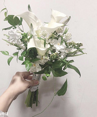 ����ɫ�̻��ա�������һ������С�ɵ�������