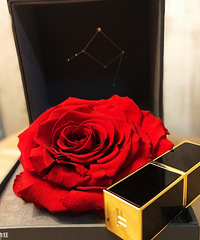 ѺĿںͿʸУͿᣬͿʮ