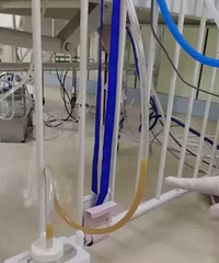 ŮӤ15زۣʼǺȾȫá