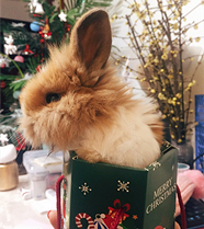 û��ס����ֻ���ӻؼ�