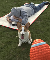 ���ɽ���������ճ�