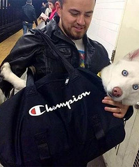 ���ϵ������ȡ������