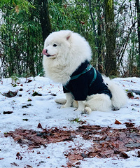 ������ȥ����Ůɽ