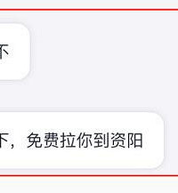 网约嘀嗒顺风车后车主发消息……