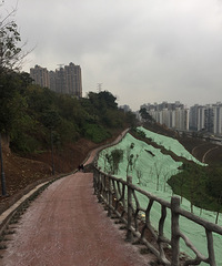 天誉智慧城和金地后面在建的市政公园