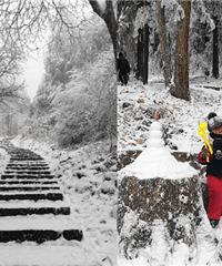 在重庆景区包场耍雪,酒店只要198