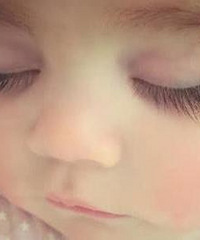 СӤҪҪ۽ë˵˻᳤øЩ