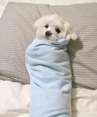 ԭ������Ҳϲ����̺��