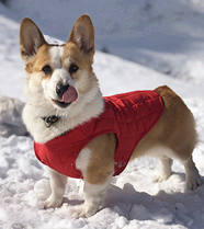 ������ȥ��Ůɽˣѩ