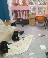 ���Ӿ�Ȼ��Խ������