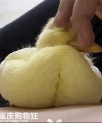 �������ˣ�����Ѽ�Ӷ�����ü��Ŀ��