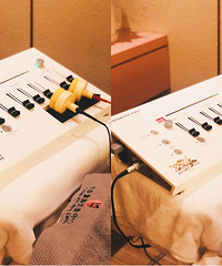 ����ֱ�����ƻ��������������Ա����£�����Ч��������