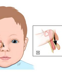 ޶ܶϺҽᳫϴ˵޶ͻͨ