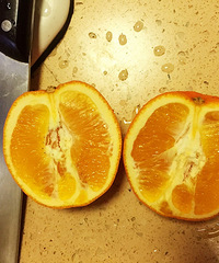 ũ��ɽȪ����17.5��ȣ�ʮ���һ����ϲ�����ڵĺó�