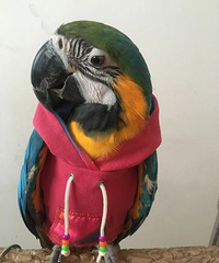 �������㣬�ҵ�����