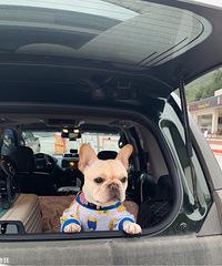 ������ȥ��ѩ��������