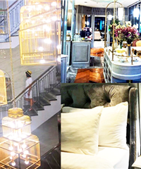 ȸԼ۱ȾƵ꣬ƷƶȡĹ