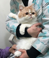 �����ޡ���һ��