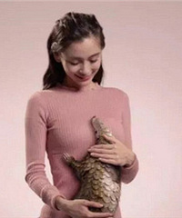 Angelababy��Ƭ������