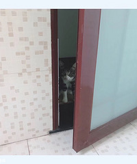 �㱻Χ���ϲ�������