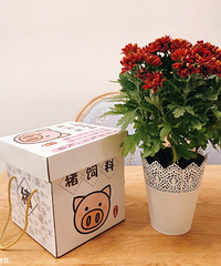 参加【网络年会装修经】发帖活动,领了一大箱猪超丰富的零食