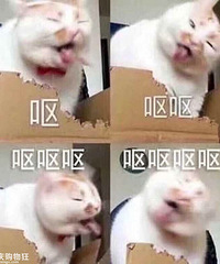 ����Ȧ���й�ʽ�ɷ���й�ʽ����