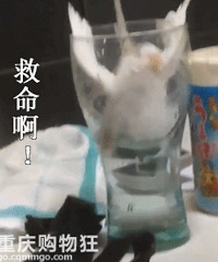 ��һ��Ц����ɳ��������ǰ��������