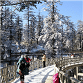 跟团去瓦屋山耍雪