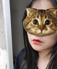 ���������Գ�������ɫ���ʺϲ�����ױ������