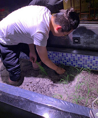 ����һ�������Ӳ�˲�����һ������