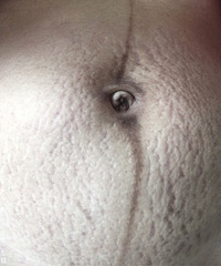 ɹһɹ40ĶǶǲҲҲ̶