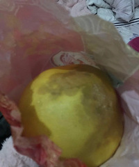 曝光涪陵XX镇卖柚子的无良商家,我买的柚子坏了一大半……