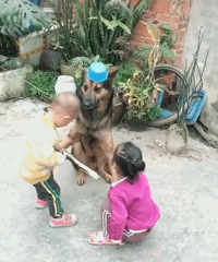 Ц�磬�������ݵĵ�����Ȼ��������������Ҽ�