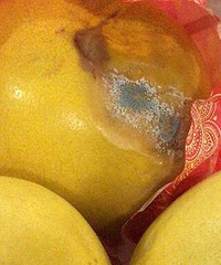 爆料涪陵xx镇卖柚子的无良商家