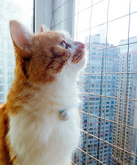 �������뿪����