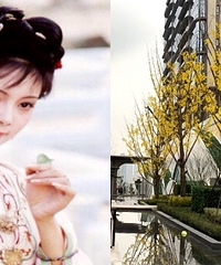 戏说w88优德官方楼盘的“十二金钗”有哪些?绿城蘭园和舜山府都上榜了