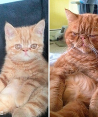 ���µ��׶�������ʲô