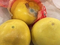 ������ӻ���һ��