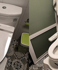 ˵˵סʹú£TOTOͰҿЦ