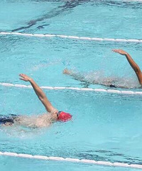 ǶӾ𣿣Ӿ2020ȫпĿ