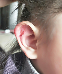 ޶䳤۵ĲҲ̶ãʲôҩЧ󰡣