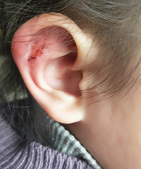 ޶䳤۵ĲҲ̶ãʲôҩЧ󰡣