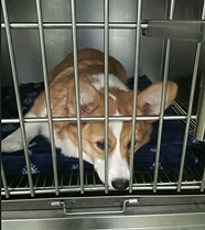 ��������ǧ�����Ե��