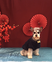 ���ܹ�����һ��������