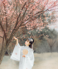 趁梅花开得真好,约上摄影师,拍一组关于花的照片吧